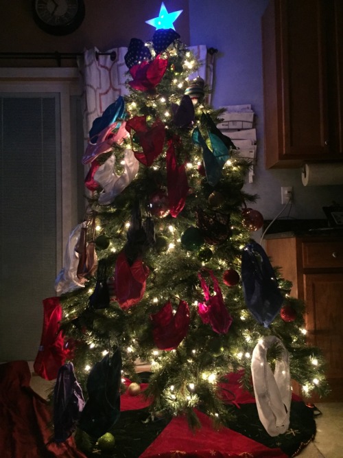 tplayr:jenniingrid:Did anyone else decorate their tree like this? Merry Christmas and a very Happy N