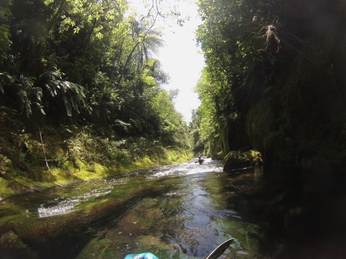 Paddled the most amazing river on the planet on Saturday! Waiari Gorge is spring fed and so clean yo