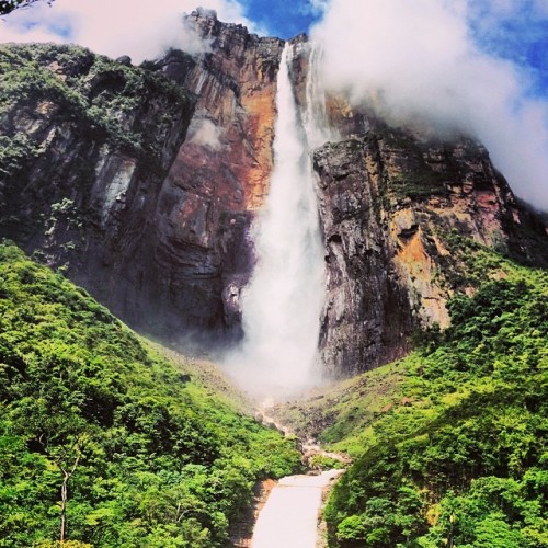 evanoesnadaespecial:  instagram:  Venturing into Venezuela’s Angel Falls To view more photos and videos from Angel Falls explore the Angel Falls location page and browse the #angelfalls and #saltoangel hashtags. Venezuela’s El Salto Ángel, or Angel