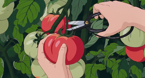 cinemamonamour:Ghibli Gardens -  Only Yesterday (1991)