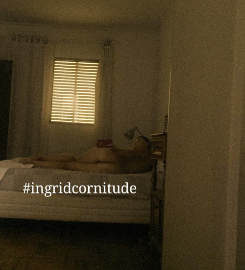 cornitude:  Sábado começa com foto pelo celular e muitas ordens da minha dona.