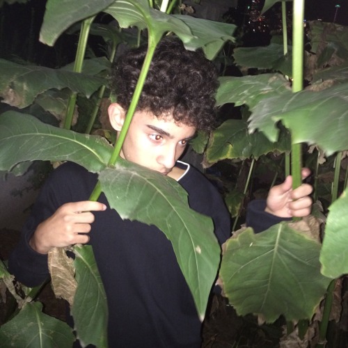 riichshawty:  Plant God