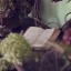 rhiwitchcraft