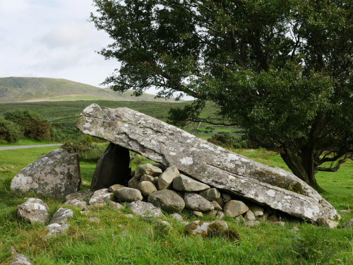 Cors y Gedol Burial Chamber, near Barmouth, North Wales, 13.8.16. This portal dolmen has an amazing 