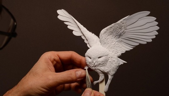 Las espectaculares esculturas de papel de Calvin Nicholls