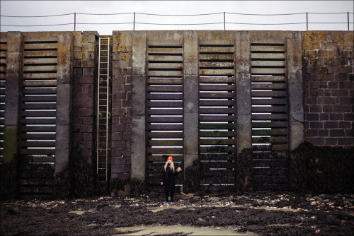 Sasha is on the bottom of the fishing port at low tide in Cancale, Brittany, France. April 2014.