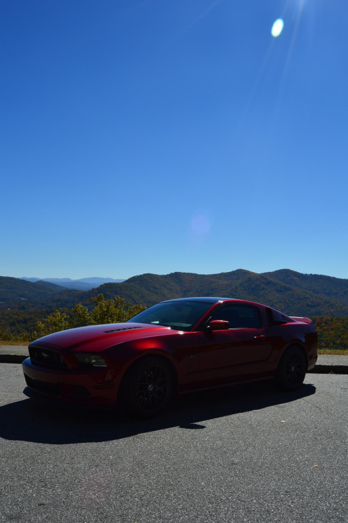 2014 Mustang GTBlue Ridge Parkway // NC // 2015 DSC_1438 by Hannah R 