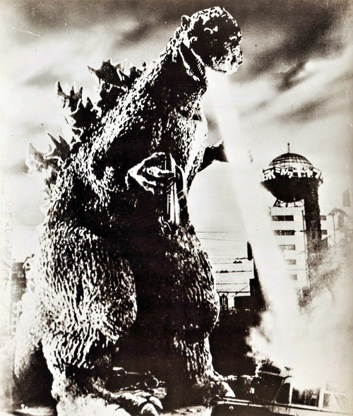 Godzilla, 1956.