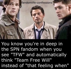 Fandom Life Confessions