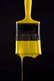 baetology:  yellow and black moods // @slightlycoolemma