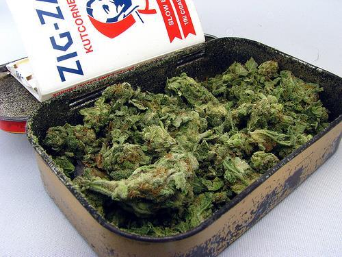 weed-holic: let’s get high together