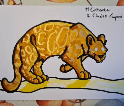 #Cattember Day 16 - Clouded Leopard!
