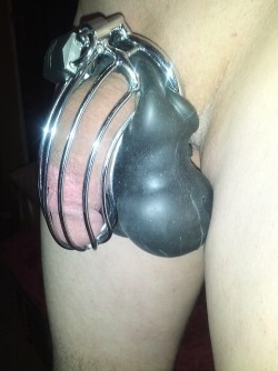 mychastitydesires.tumblr.com post 83875928371