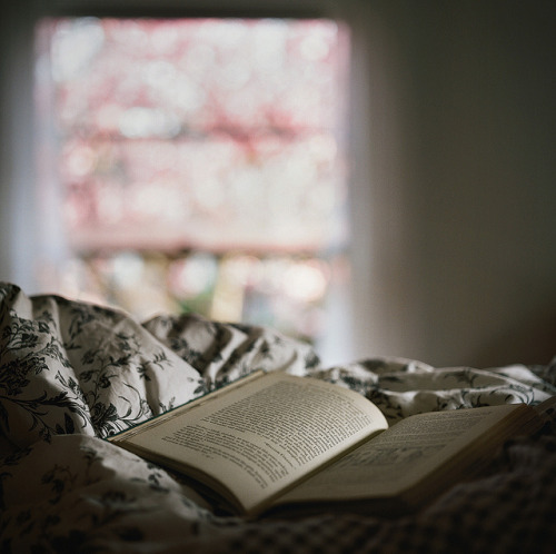 beckisbookshelf:  by manyfires 