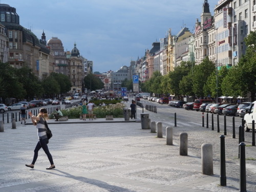 Cat slung over shoulder in Wenceslas Square, Prague.