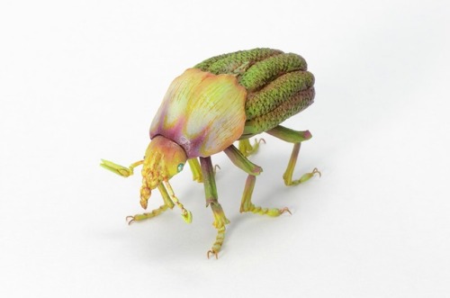 archiemcphee:We love these exquisitely detailed fantasy insects created by Japanese artist Hiroshi S