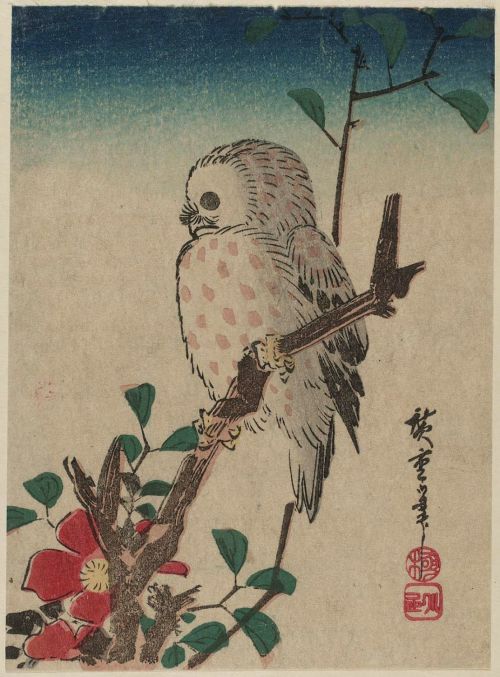 Small Owl on Camellia Branch by Utagawa Hiroshige (Edo Period)