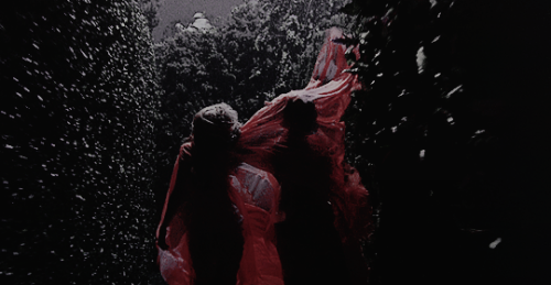 feedingmyinsomnia:come freely, go safely…… and leave something of the happiness you br