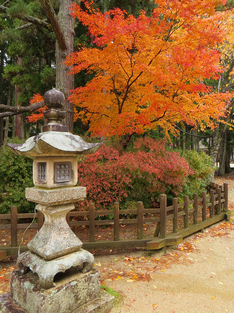 Stone lantern at the Danjō Garan, Kōya-san, Japan (by rangaku1976)