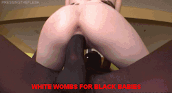 blackcocksdeservewhitepussy:   White women