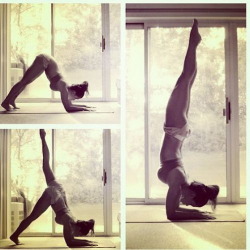 girls-gone-yoga:  fitspo