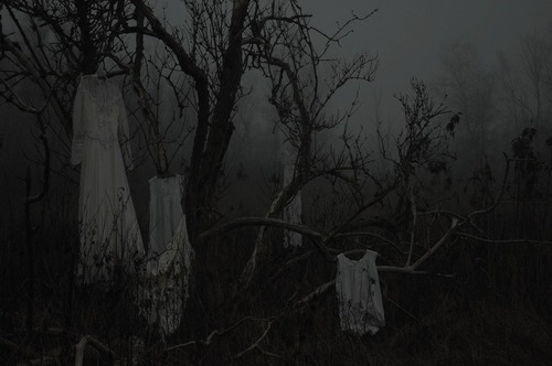 dark-recesses-of-the-soul:  ☽ dark, horror, eerie, macabre ☾ Source 