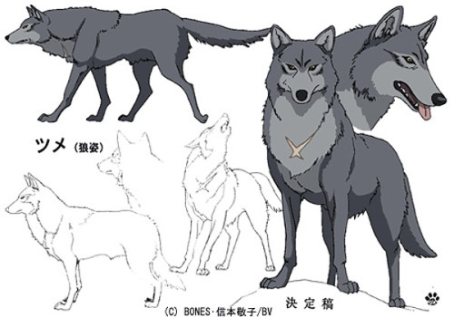 blackbackedjackal:Wolf’s Rain (2003) Character Sheets  