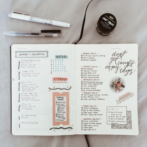 studytildawn:01/17 | 11:55a | Here is this week’s spread! Feat. some goodies.