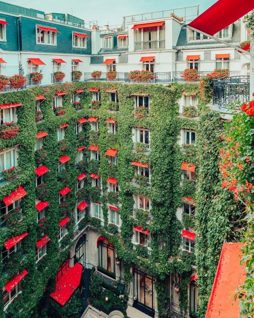 Hotel Plaza Athenee, Paris by wonguy974