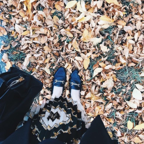 theatticoneighth: We always step off the sidewalk to crunch around in some leaves. #autumnattheattic