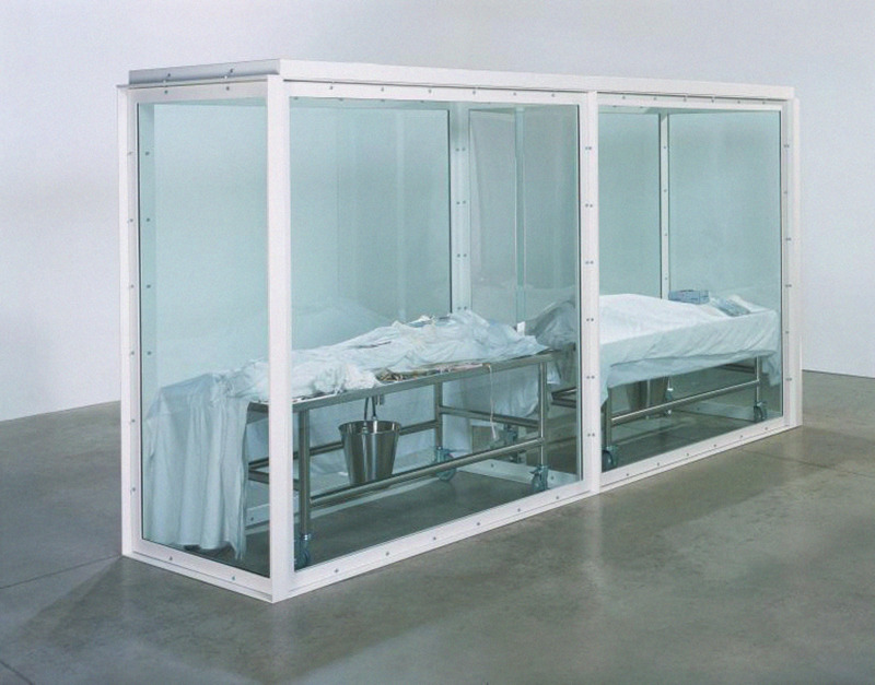 likeafieldmouse:  Damien Hirst - Vitrines (1990-2008) 1, 2. The Collector 3, 4.