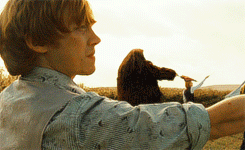 labyrinthing-deactivated2017011: I’m Ron by the way. Ron Weasley.