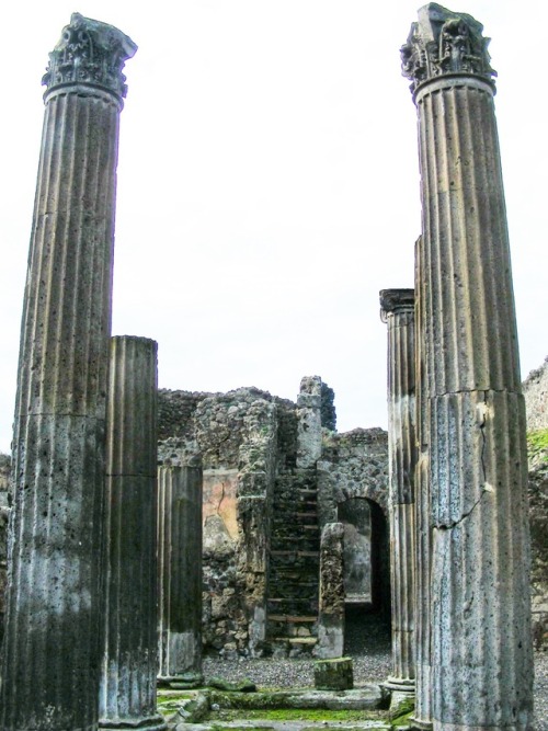 eopederson: Colonne, Rovine, Pompei, Campania, 2009.