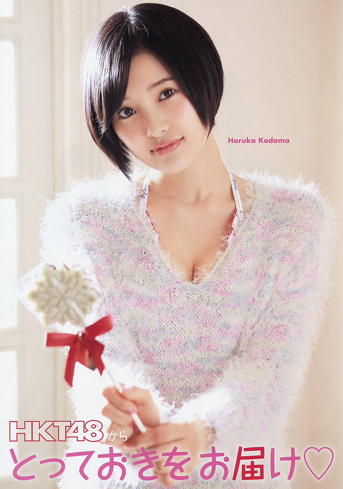 [Young Animal] 2015 No.4 HKT48 Kodama Haruka 兒玉遥
