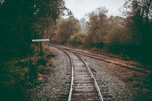 lifeinmotion84:Mt Rainier Fall Train Ride