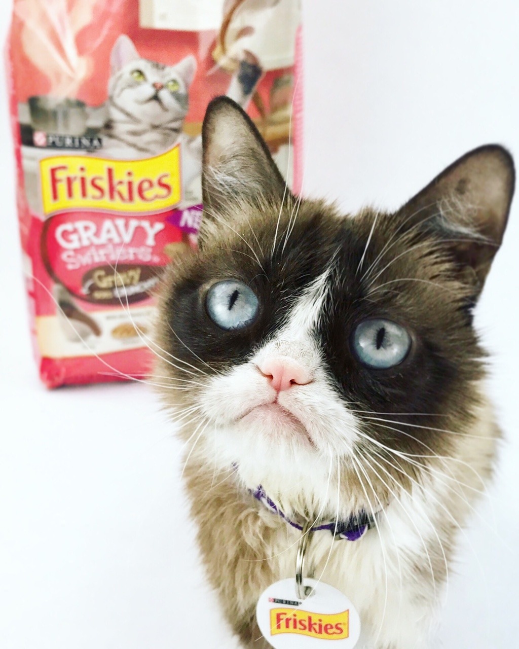 It’s officially summer and I’m going on a picnic. You’re not invited.  I’m bringing @friskies Gravy Swirlers and keeping it all...