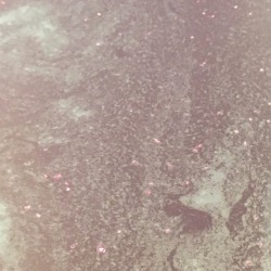 thedoodlekitten:  My bath is ridiculously glittery 💕