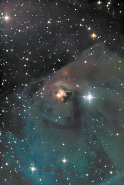 spaceplasma:  T Tauri and Hind’s Variable Nebula    The orange star centered in this remarkable telescopic skyview is T Tauri, prototype of the class of T Tauri variable stars. Nearby it is a dusty yellow cosmic cloud historically known as Hind’s