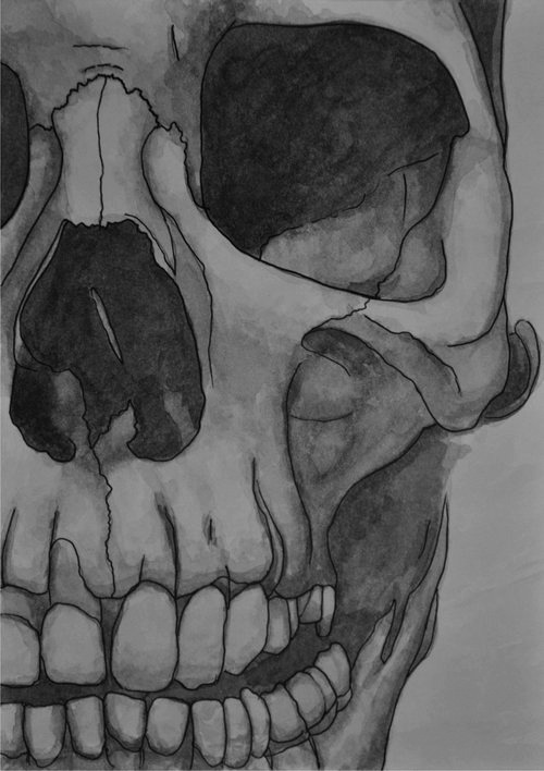 van-bommel.tumblr.com/post/37519976007/