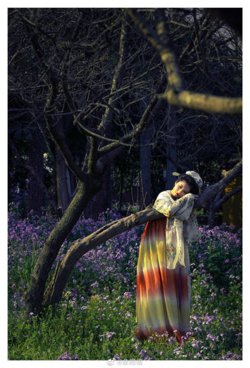 [Hanfu · 漢服]China Tang Dynasty Chinese Traditional Clothing Hanfu PhotoshootsLate Tang Women’s