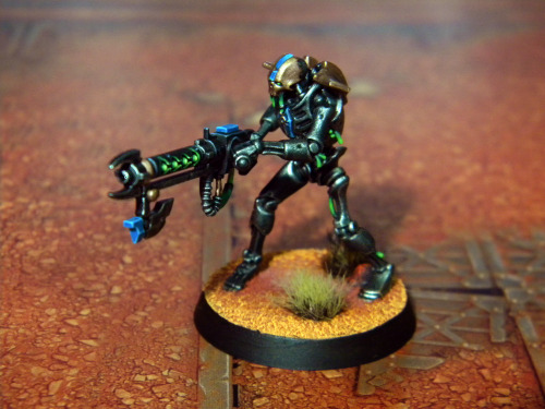 The fourth Necron Warrior of Nihilakh Dynasty.