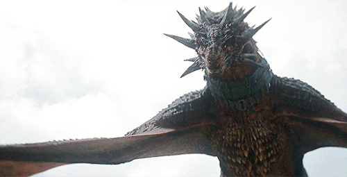 Every Dragon In House Of The Dragon Season 2