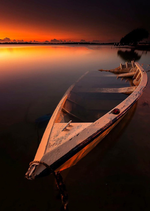coiour-my-world:Golden Beach, Queensland, Australia | wandacraswellphotography