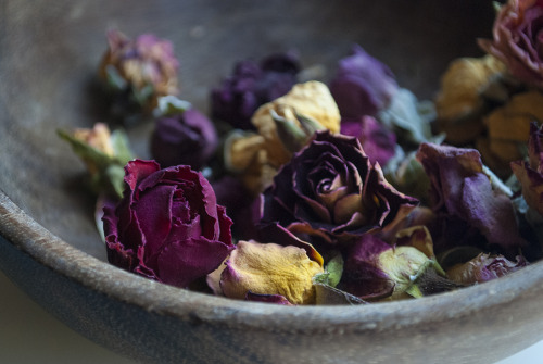 recreationalwitchcraft:  50 Magical Uses for Roses Roses are one of the most common flowers around. They are widely adored, gifted often and grown in many places.  If you’re anything like us - you might even have too much of them laying around. What