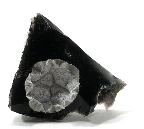 Shiny black mirror Obsidian with rare Cristobalite &amp; Fayalite vug - Canyon Butte, California