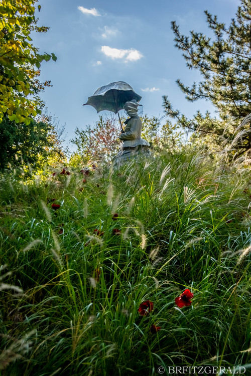 Grounds for Sculpture.  Hamilton Township, NJ.ISO 400 | 31mm | f/4.0 | 1/800 secPhoto © 2020 Brian R