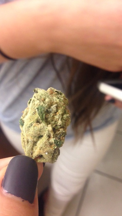 WeedPornDaily Tumblr