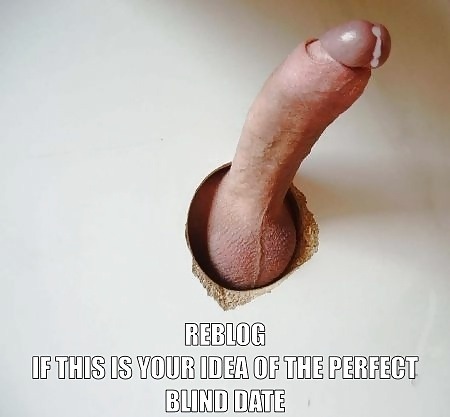 saltyanchorshark: dickgirlacademy:  DICKGIRL ACADEMY  ღ  It really is.. anyone want to go out on a d