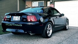 fuckyeahfordmustangs:  My 2001 Bullitt