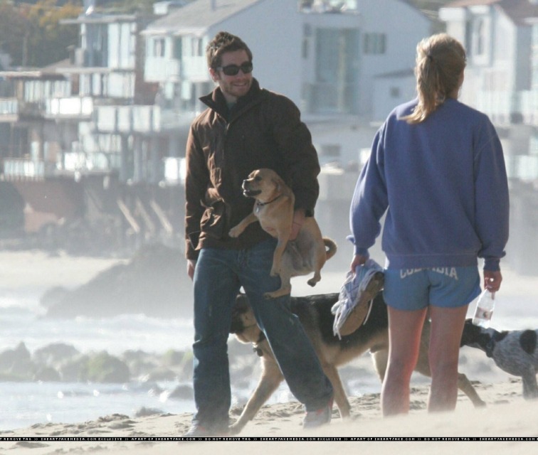 pennsatuckys:  ive seen tons of photos of jake gyllenhaal holding dogs incorrectly